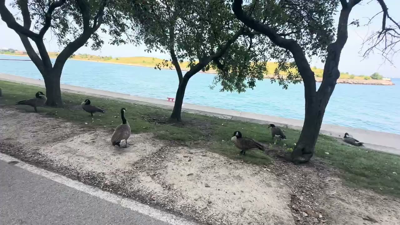 Chicago Lakefront bike ride!