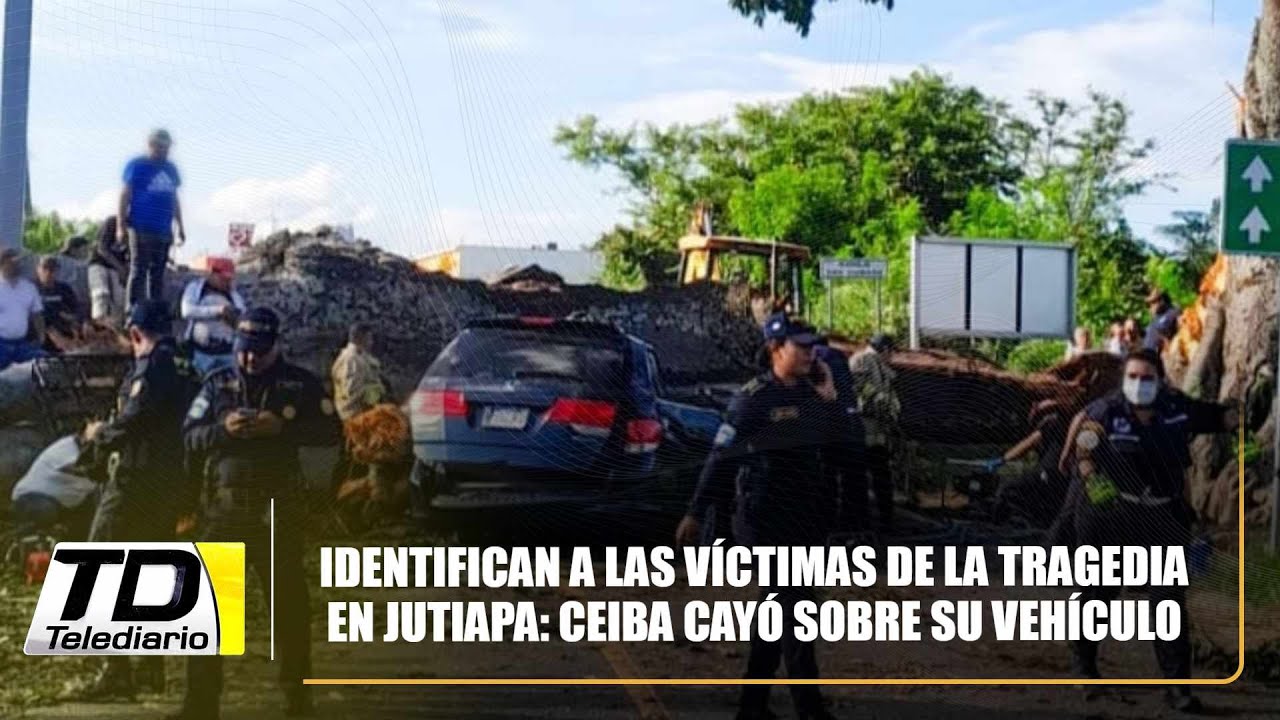 Identifican a las víctimas de la tragedia en Jutiapa: ceiba cayó sobre su vehículo