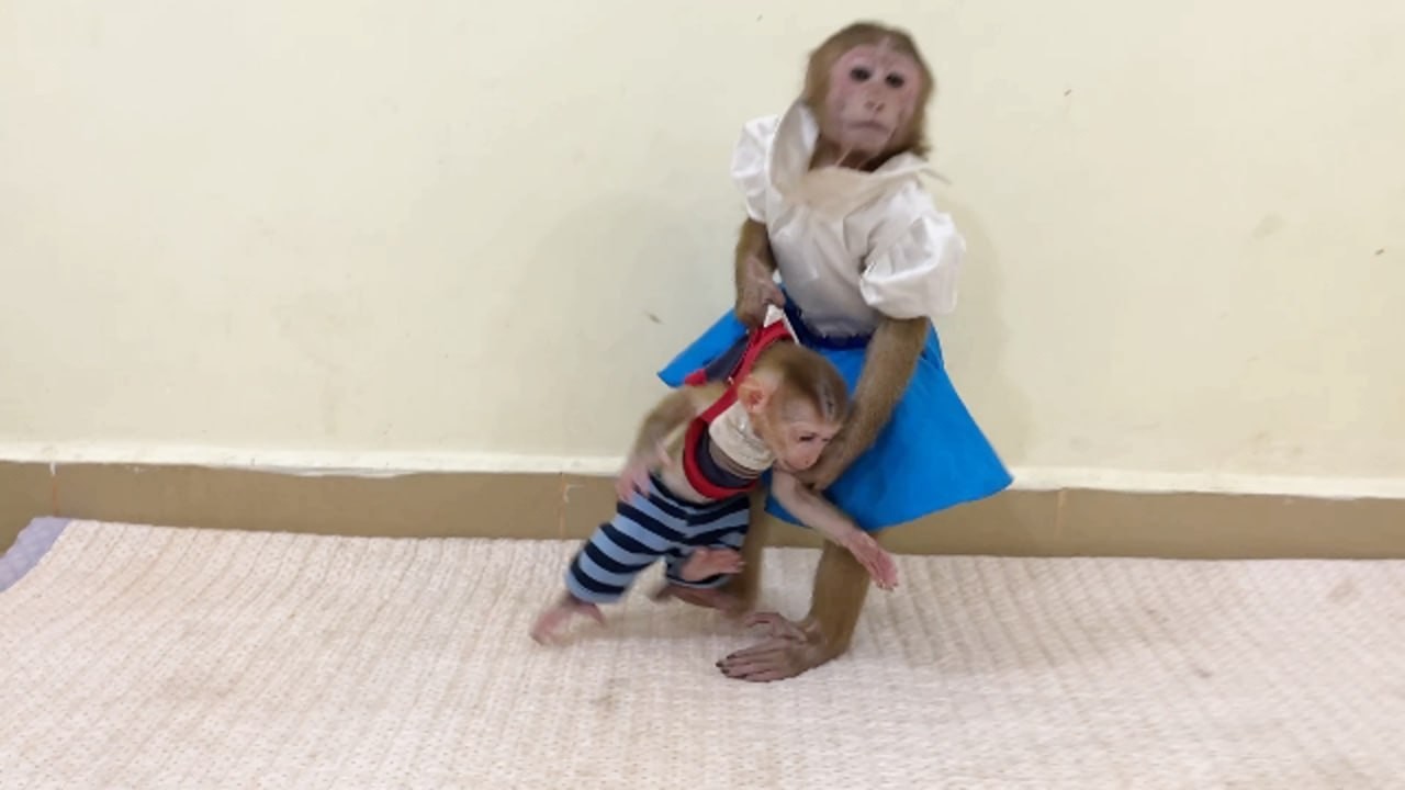 Chichi Please..!!! Ronaldo Want To Go To Play