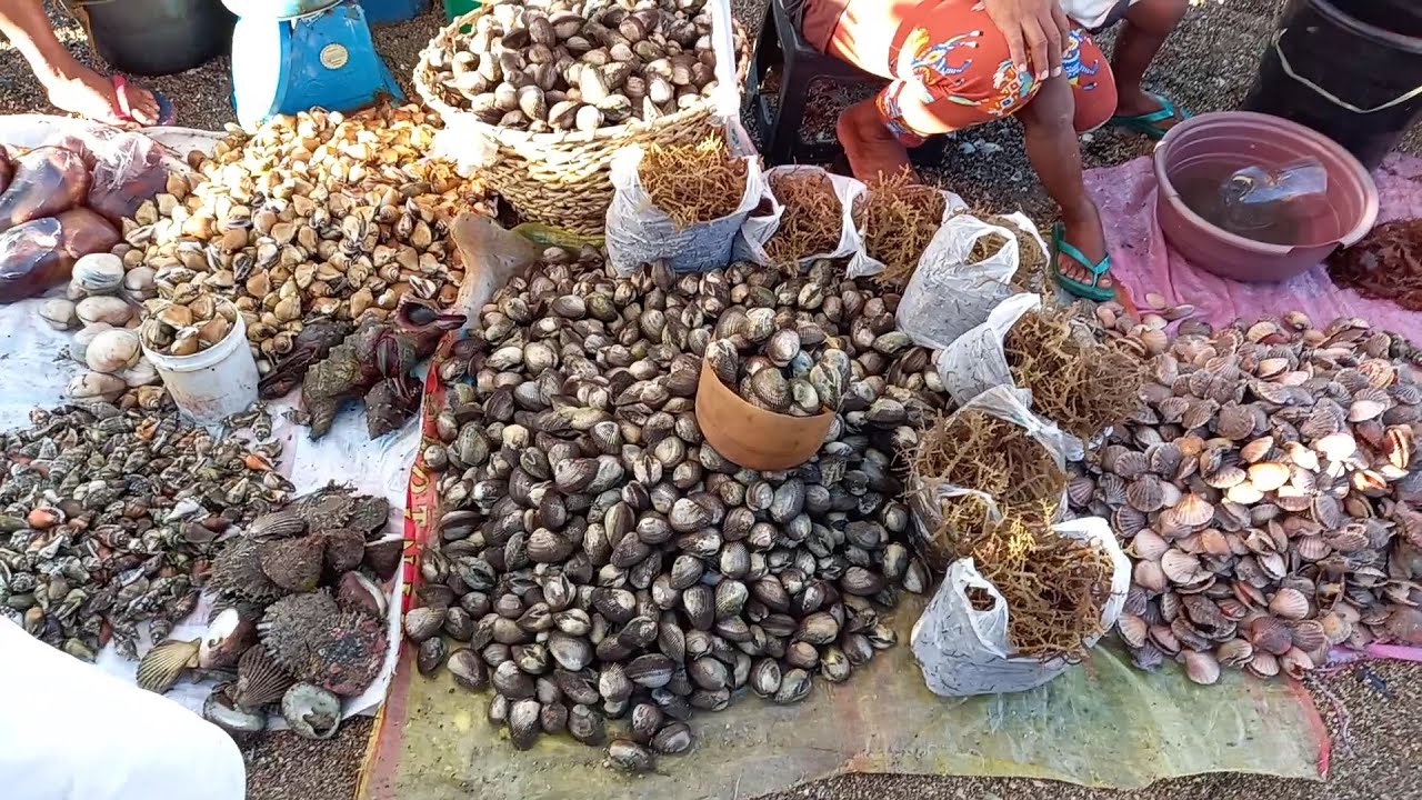 Unlimited Shells | Cheapest Sea Foods in the Philippines | only in Cawayan, Masbate | JanFoxTV