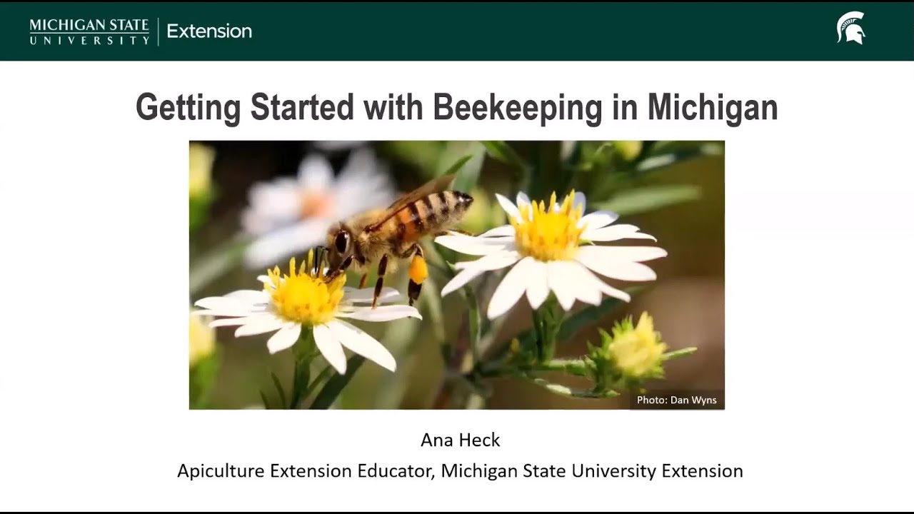 Getting Started with Beekeeping in Michigan