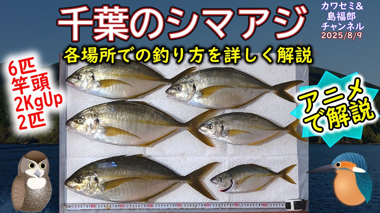 《アニメで解説：【シマアジ釣り】を解説》【千葉】のシマアジの【釣り方】をアニメで詳しく解説。大原沖、鴨川沖、館山沖の違いについても解説します。