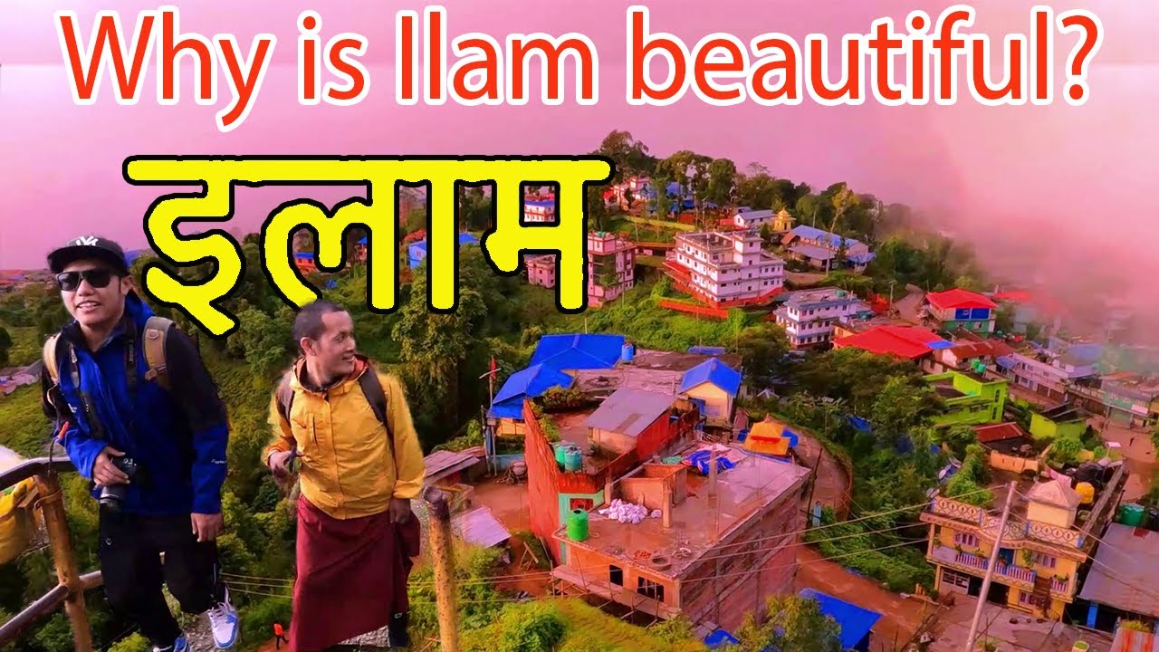 इलाम - ilam nepal | ilame sahar chiya bari ramro | Why is Ilam beautiful? | ilam chiya bari