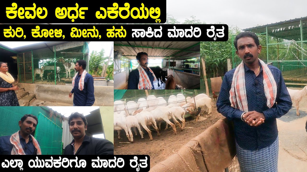 Model Farmer : ಕೇವಲ ಅರ್ಧ ಎಕೆರೆಯಲ್ಲಿ ಕುರಿ,ಕೋಳಿ,ಮೀನು,ಹಸು, ಸಾಕಿದ ಮಾದರಿ ರೈತ | Dashu Vlogs