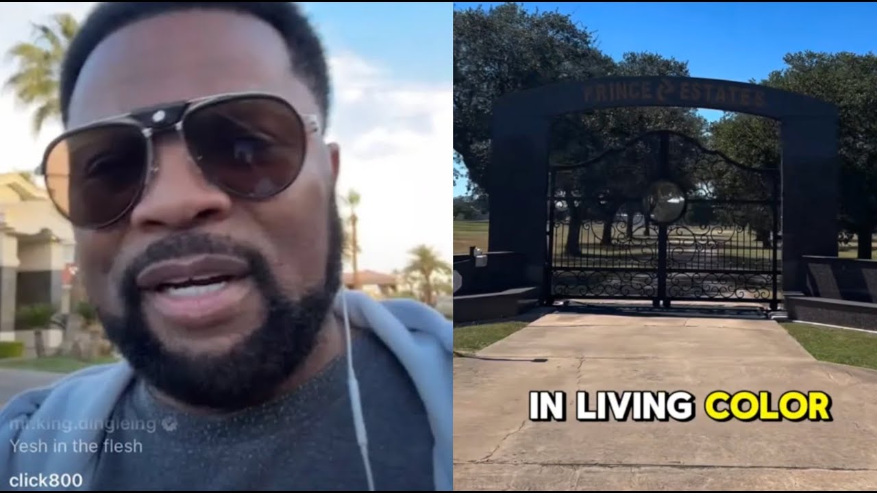 «Поместья Принса»: Джей Принс проводит экскурсию по своей плантации стоимостью более 20 миллионов...