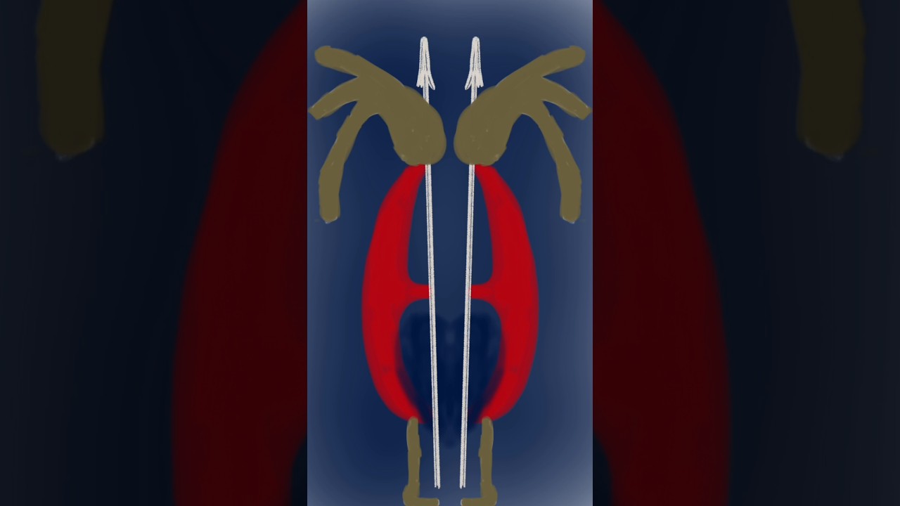 The Maasai #art #shorts
