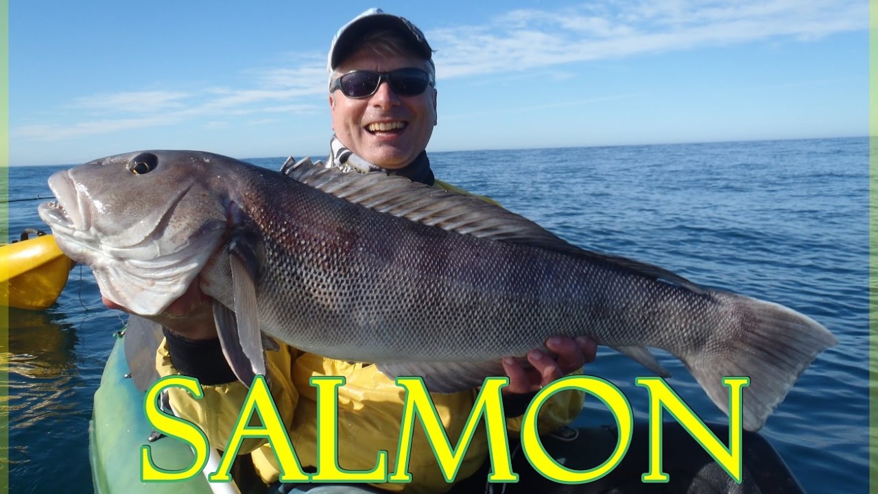 PESCA DEL SALMON BLANCO: TECNICA, EQUIPO, LUGARES, CARNADAS