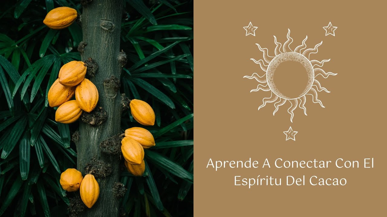 Meditación De Conexión Con El Espíritu Del Cacao.
