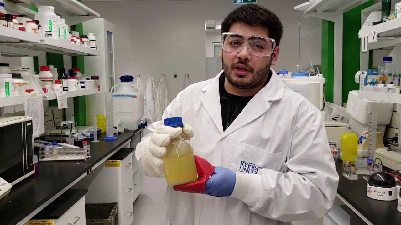 Bacterial Growth Lab Experiment - Online Tutorial