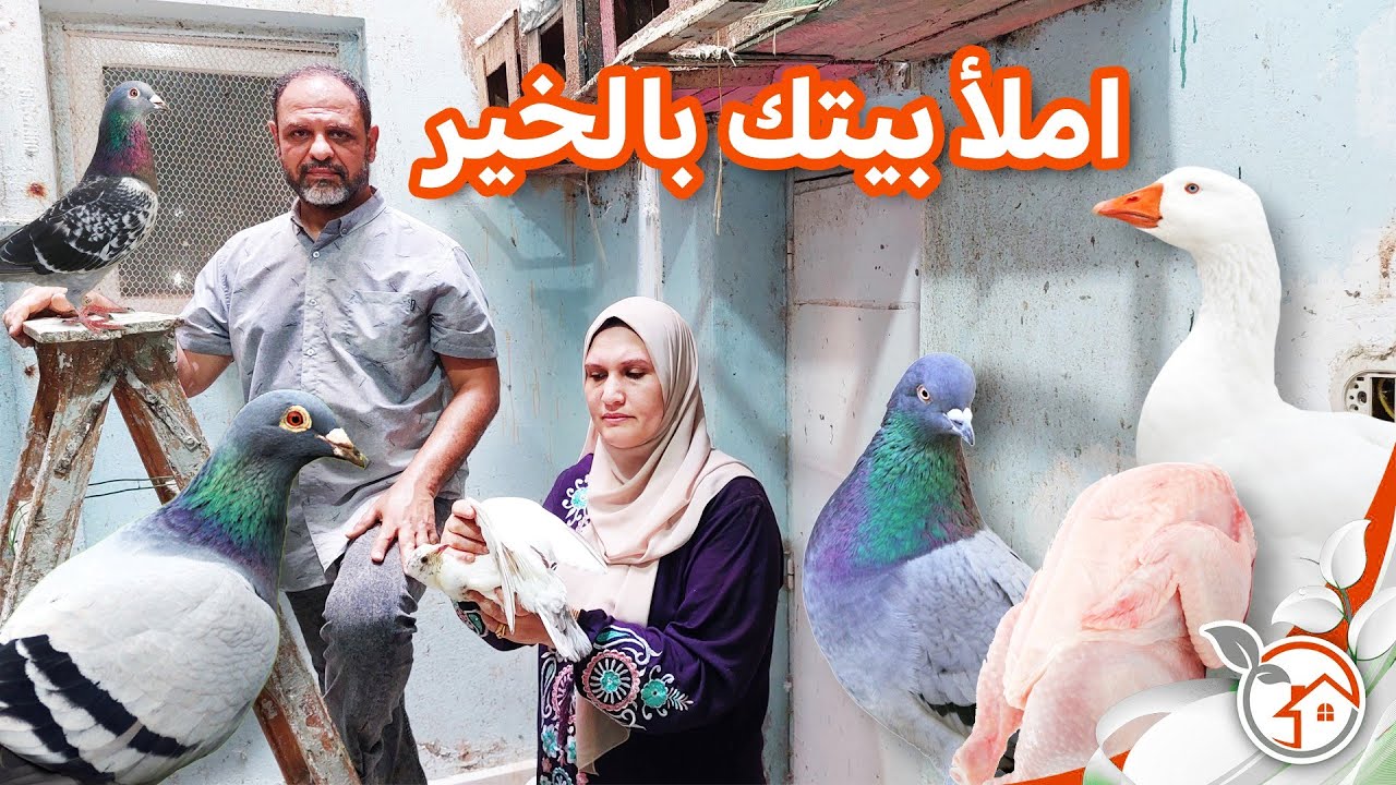روتين بين الزرع والدواجن وقطف زغاليل الحمام مع ماما وبابا