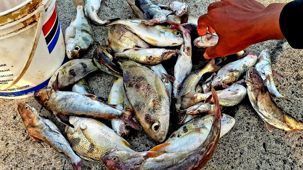 Spot mancing favorit pantai jetis cilacap
