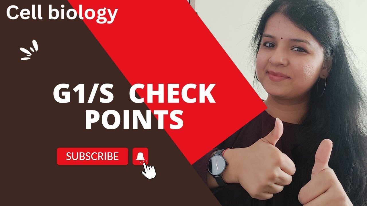 G1/S Check Point l cell cycle #cellcycle #csirnet #gatelifesciences
