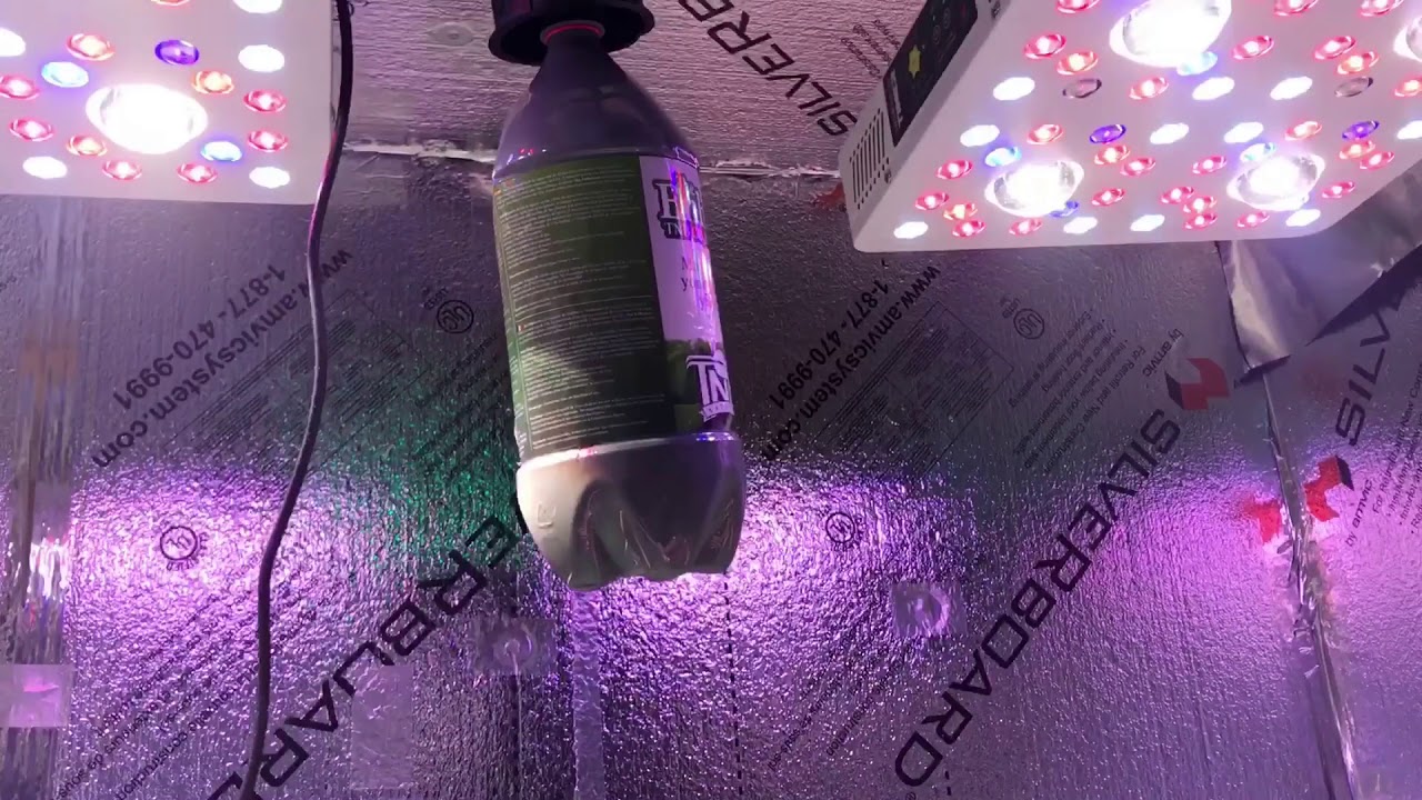 #OPTICLEDGROWERSCUP  #GROWOFLOVE