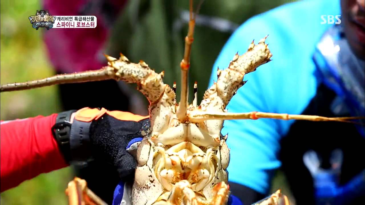 The law of the Jungle(정글의법칙) Ep.74 #33(3)