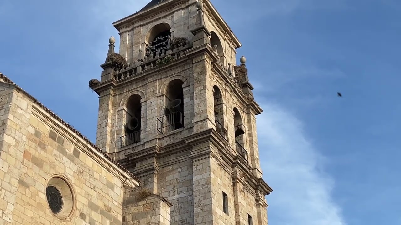 Salida de la procesión y gran volteo de Campanas - Virgen del val 2022 Alcalá de Henares