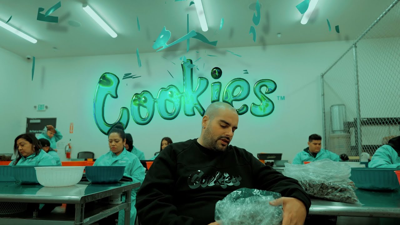 Berner - 