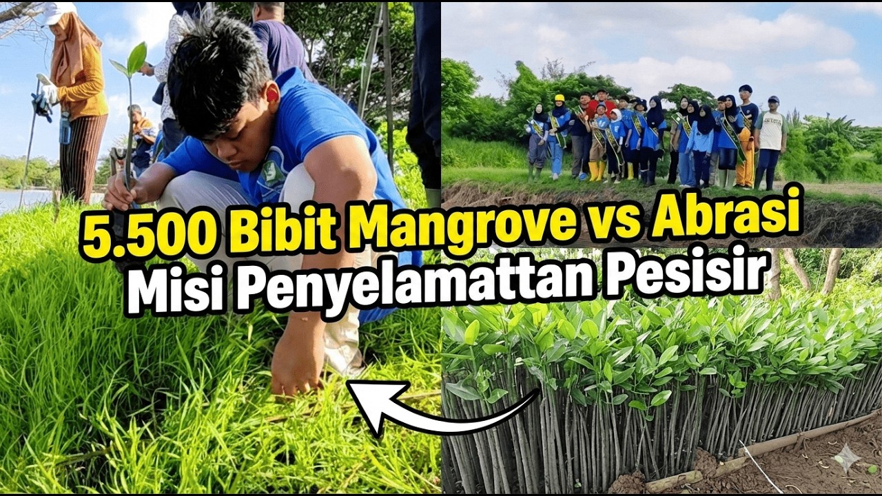 Bumi Butuh ini, Lihat apa yang Kami Lakukan di Hutan Mangrove