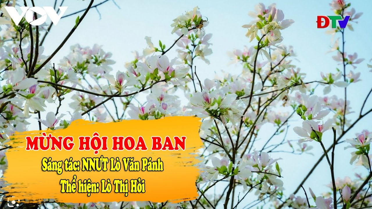 Mừng hội Hoa Ban | Điện Bi&ecirc;n TV
