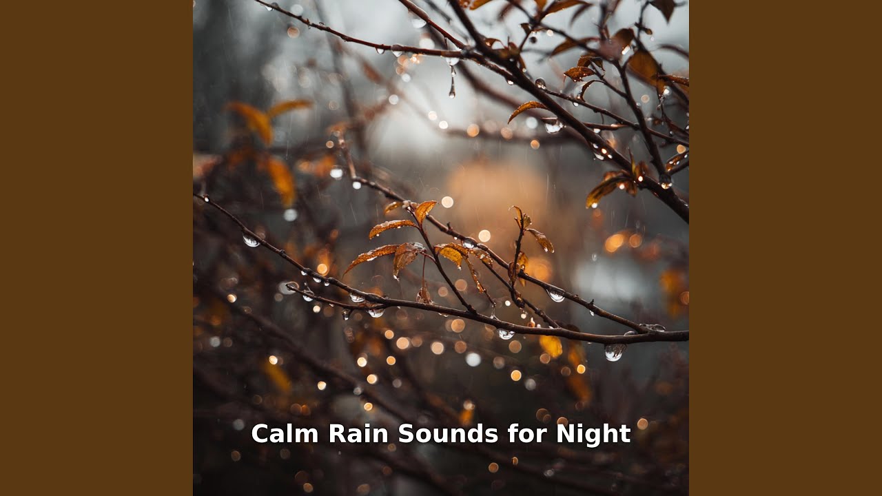 Calm Rain Outside My Room, Pt.26