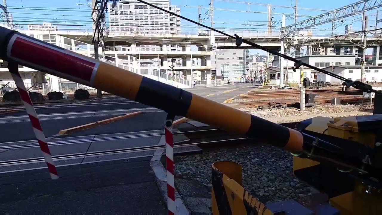 広島駅　愛宕踏切　列車ウォッチング　2022/10/30　227系 キハ40 キハ120 カープラッピング車両・500系ハローキティ新幹線も通過