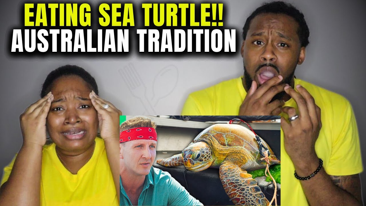 🇦🇺 The Demouchets REACT to Aboriginal Australians' Sacred Bungaroo Tradition (Eating Sea Turtles)
