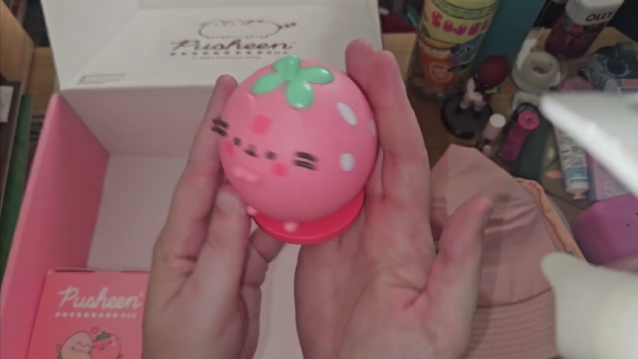 Pusheen Summer 2024 box