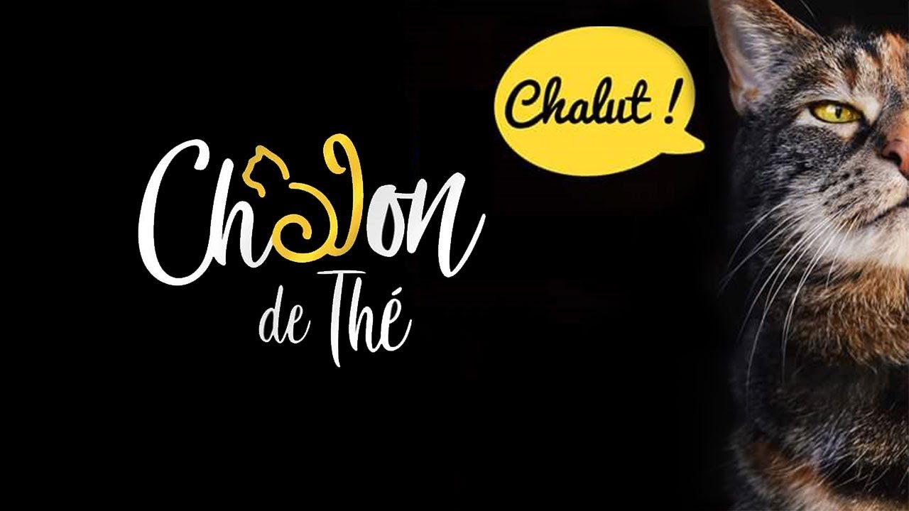 Découverte : le Chalon de Thé à Metz