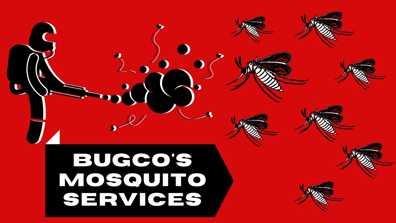 Bugco Pest Control's Mosquito Services San Antonio and Austin TX