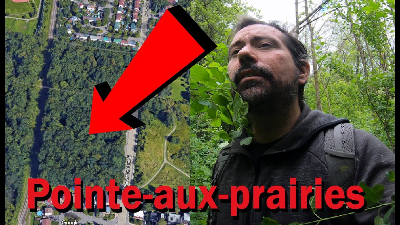 Je me suis perdu dans le bois...&agrave; Montr&eacute;al!