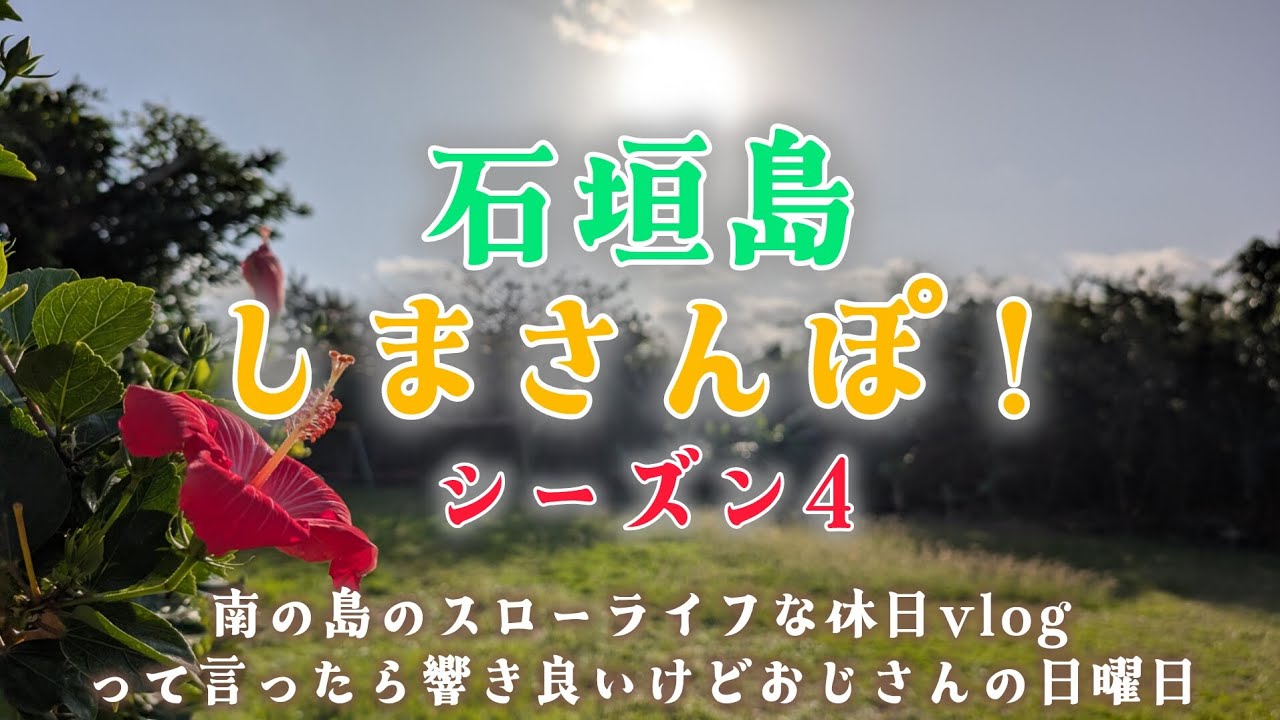 石垣島🏝️しまさんぽ　南の島のスローライフな休日vlog✨って言ったら響き良いけどおじさんの日曜日