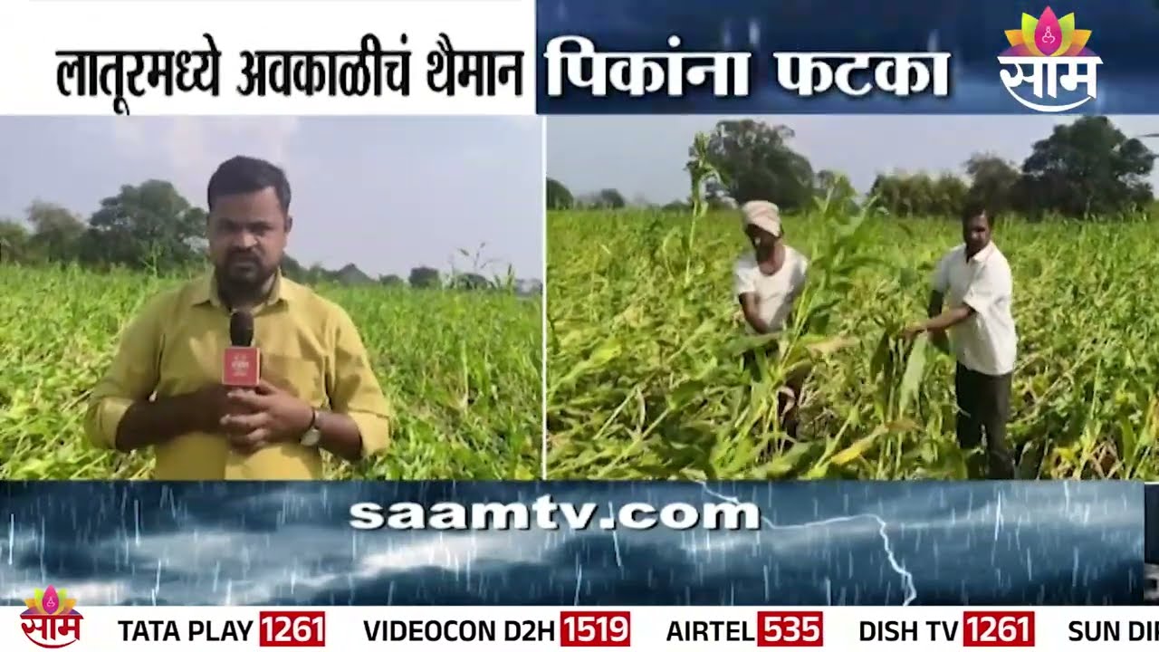 लातूरमध्ये अवकाळीचं थैमान, पिकांना फटका | Latur | Unseasonal Rain | Crop Damage