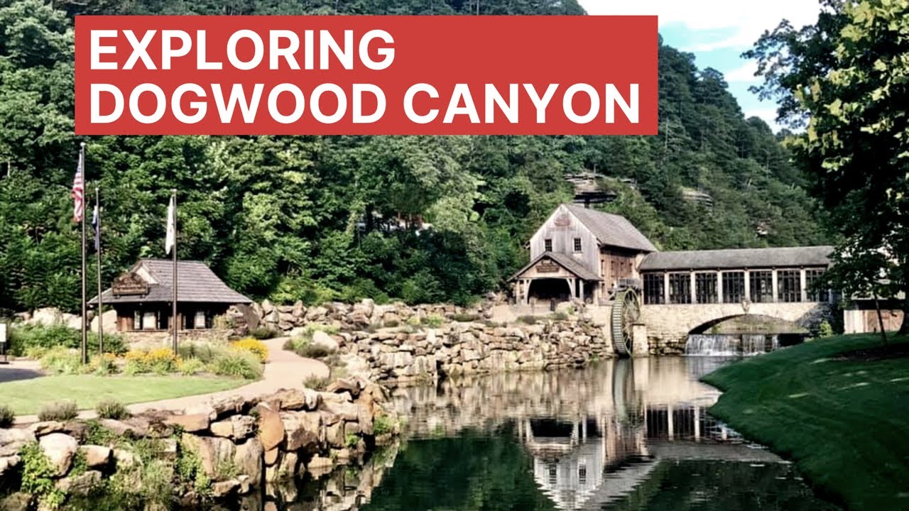 Unleash Adventure at Dogwood Canyon Nature Park - Lampe, Missouri