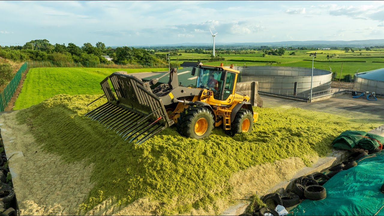 Volvo L90F | 14ft Strimech | Buckraking Wholecrop Rye