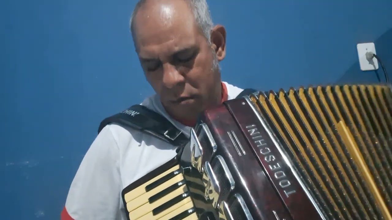 SOLO DA MUSICA  GAIVOTA LEU CANHOTO EROBERTINHO