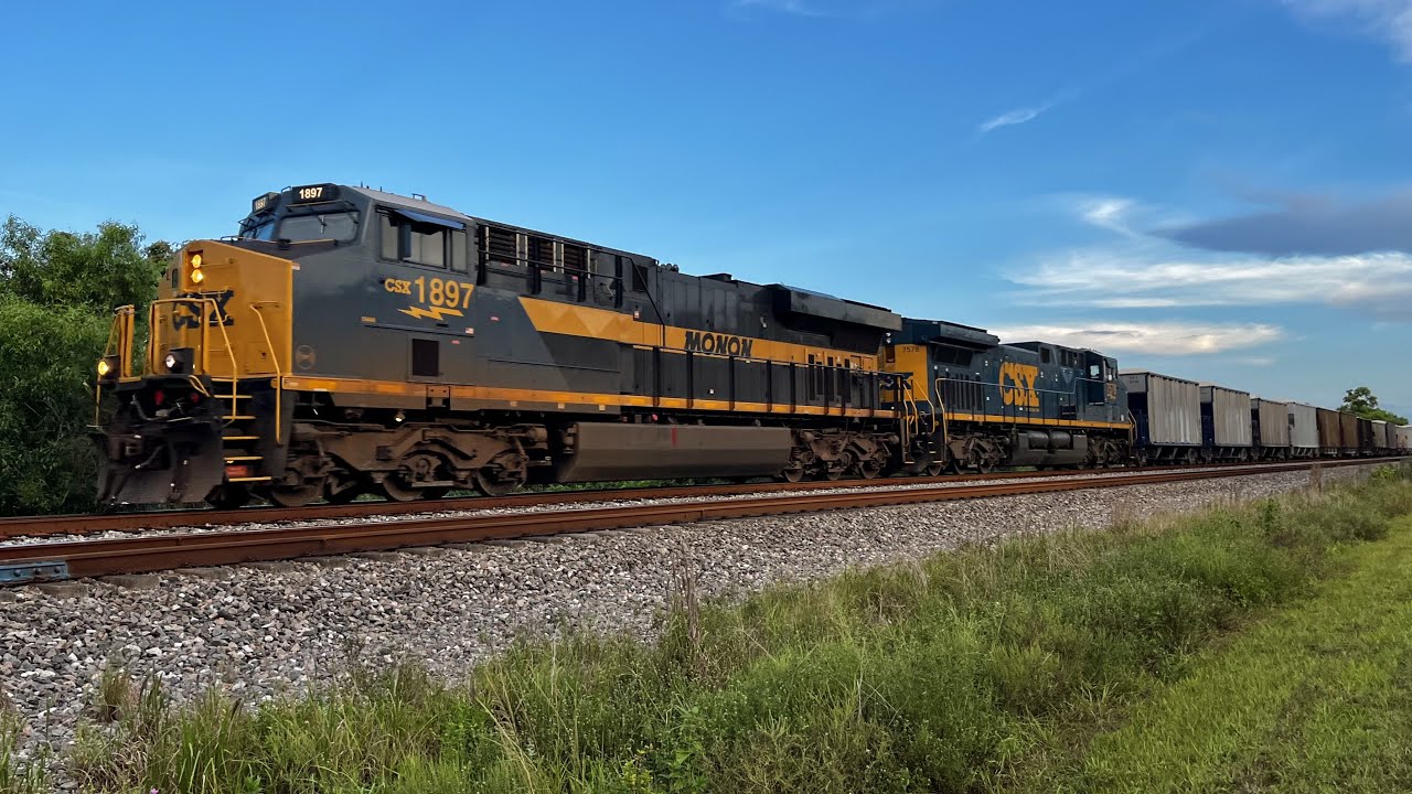 Late Summer FEC, CSX and Amtrak Trains