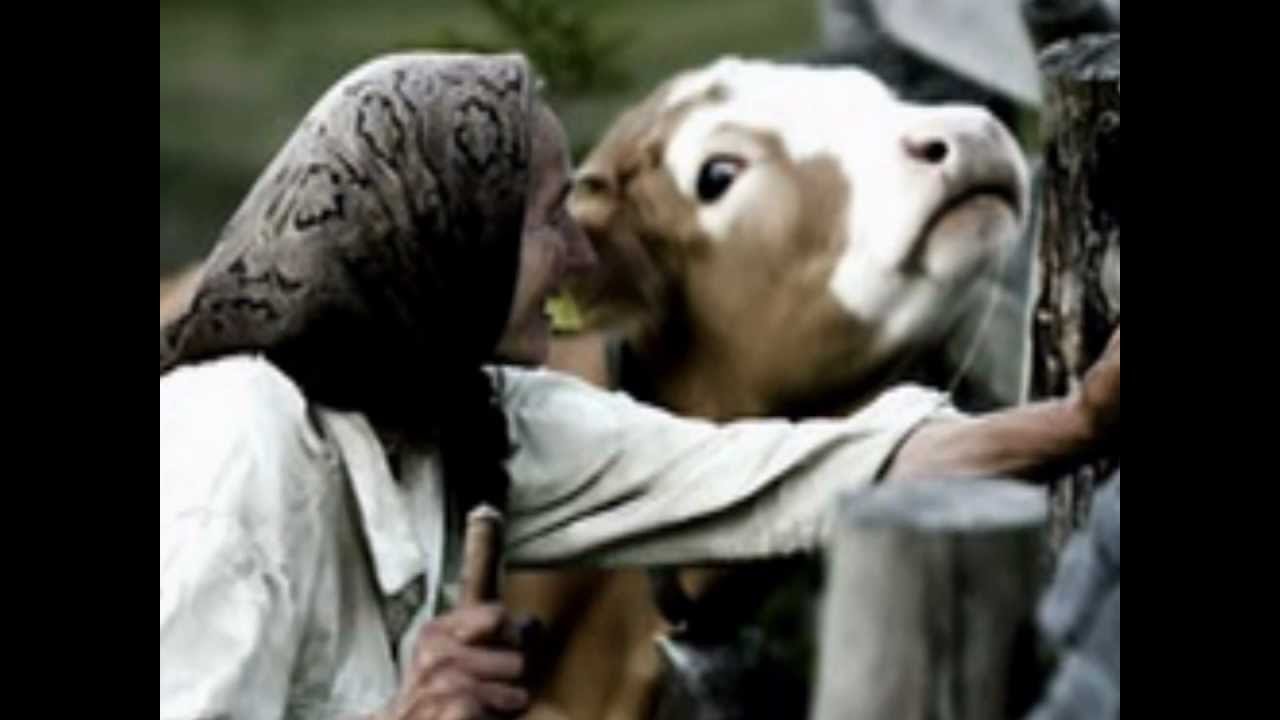Invierea lui Lazar - Mitropolit Bartolomeu Anania (2003)
