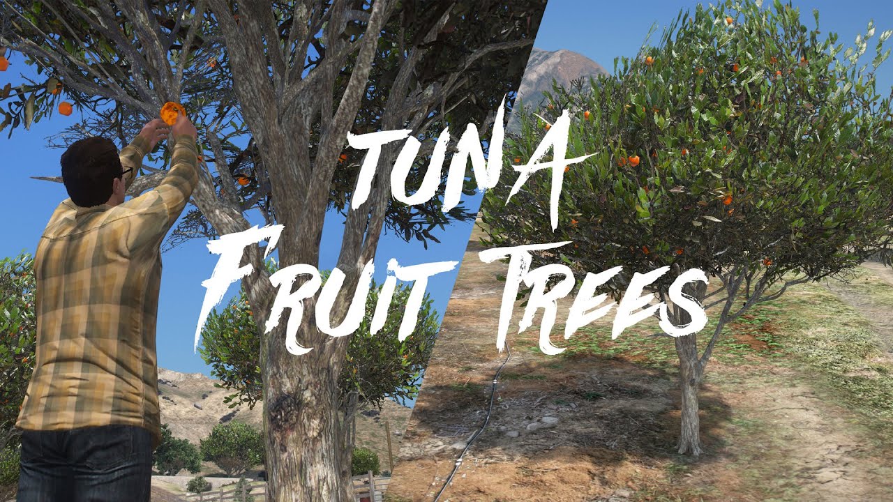 Tuna Fruit Tree Farm Preview | Farming Script - FIVEM