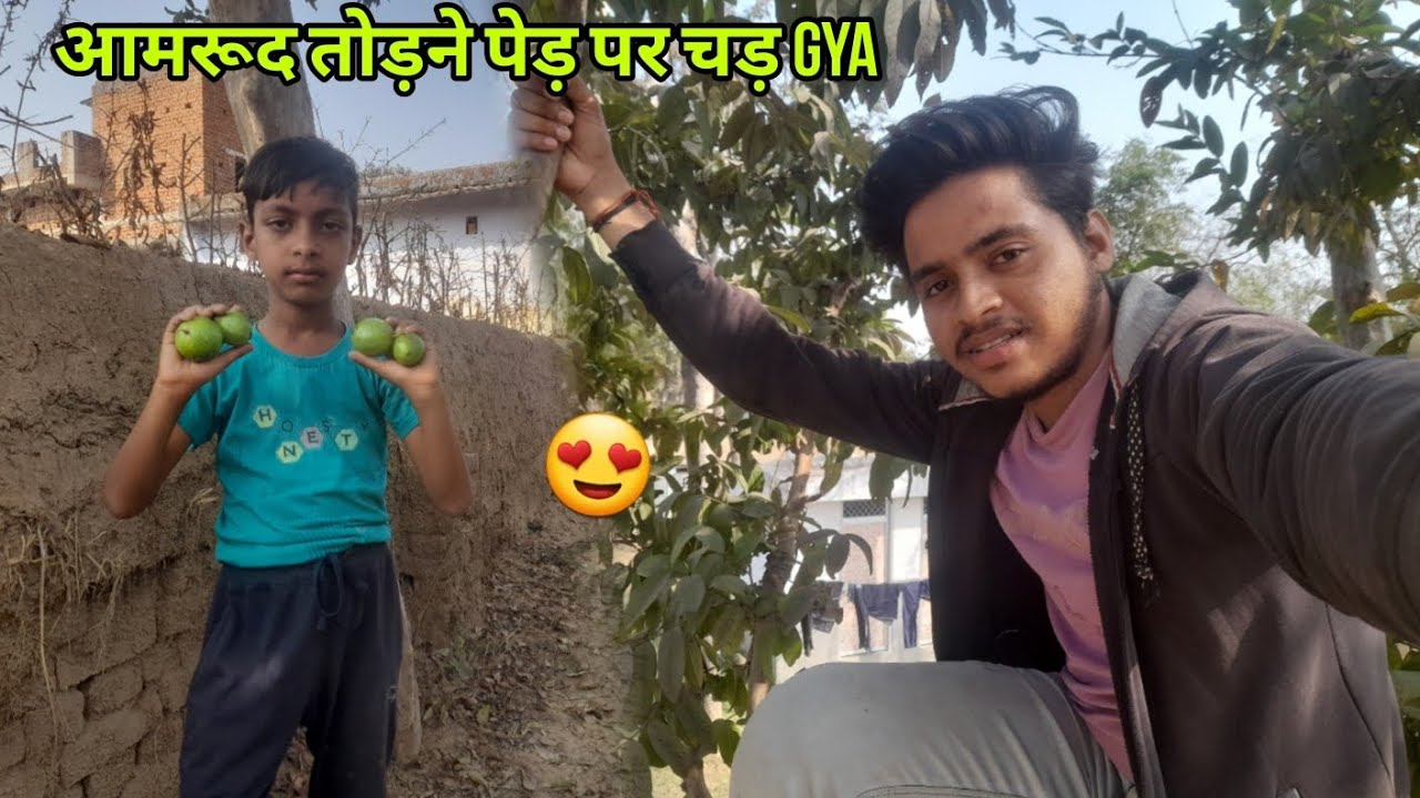 आमरूद तोड़ने पेड़ पर चड़ gya 😍 #dailyvlog
