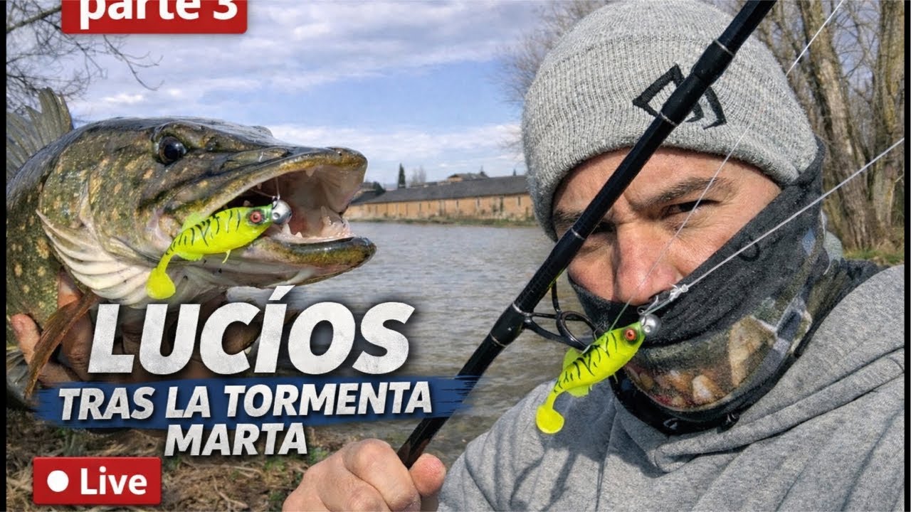 LOS LUCIOS DE ULTIMA HORA SABEN MEJOR 🤪PESCA DE DEPREDADORES ⚡️⚠️