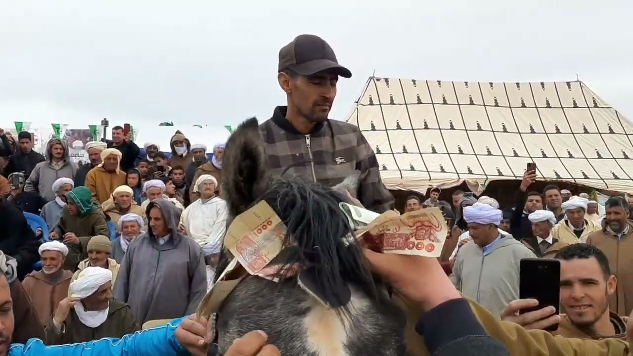 19 مارس احتفال عيد النصر قريه مقوره