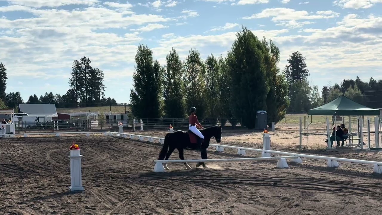 Royce Dressage/Jumping Show (Intro Level Rider) & Hauled Out Clips