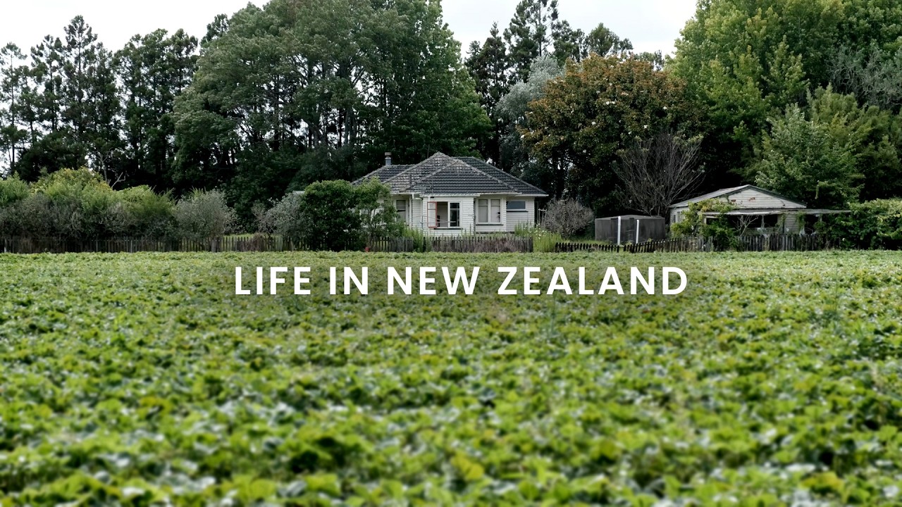 🇳🇿 뉴질랜드 연말연시 일상 | 바다 낚시 · 딸기농장 · 피쉬앤칩스 맛집  | NZ vlog