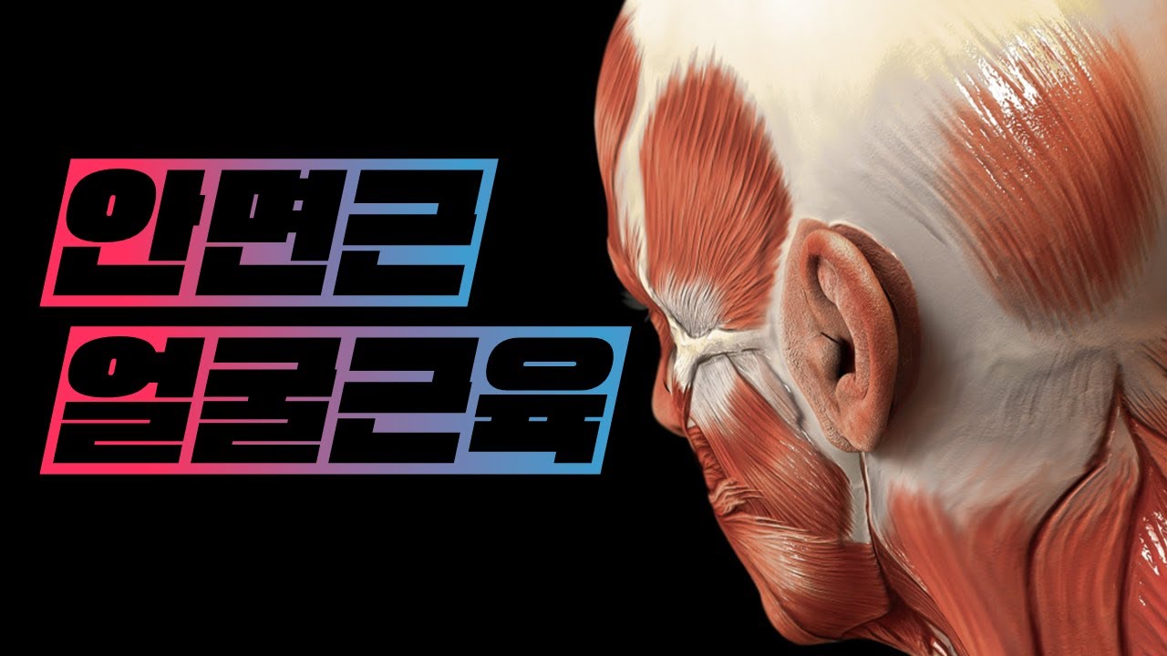 [해부학 - 근육학] 머리근육(head muscles) - 얼굴근육(안면근, facial muscles)