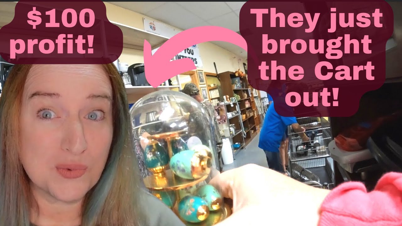 $200 in Profit in ONE HOUR at This Thrift Store ! AMAZING Finds!