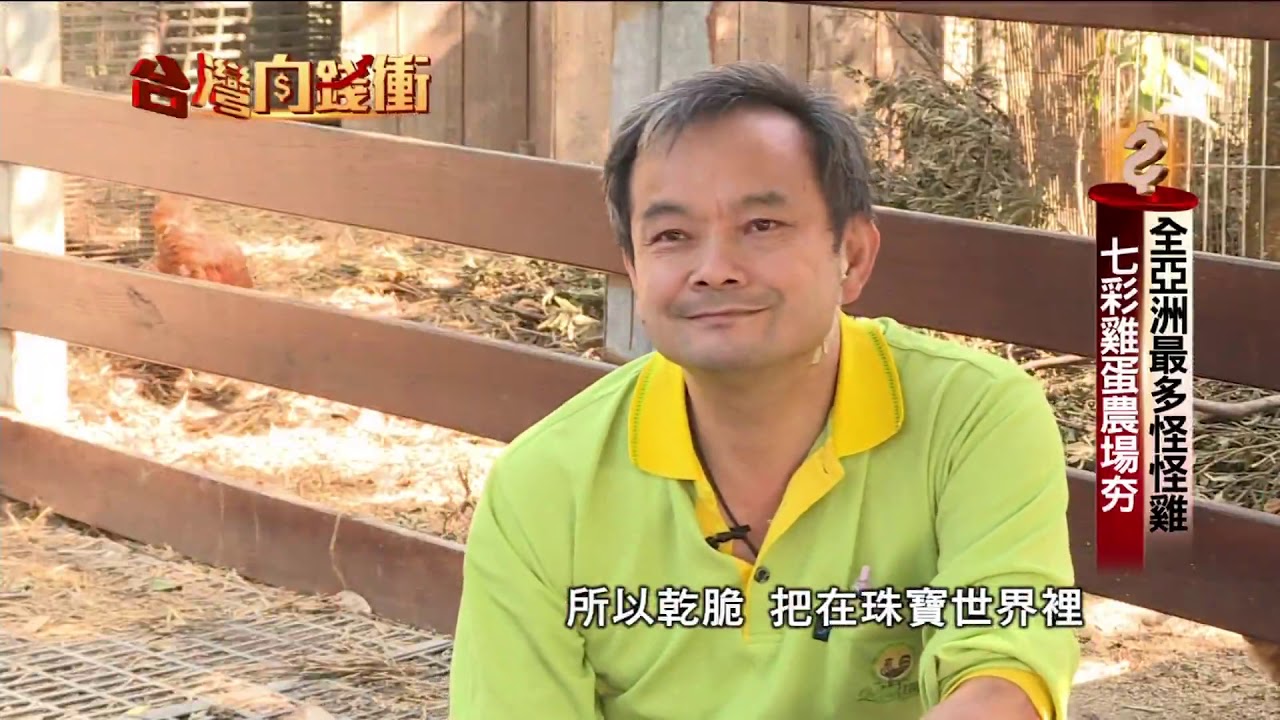 全亞洲最多怪怪雞 七彩雞蛋農場夯 190713【台灣向錢衝】PART4
