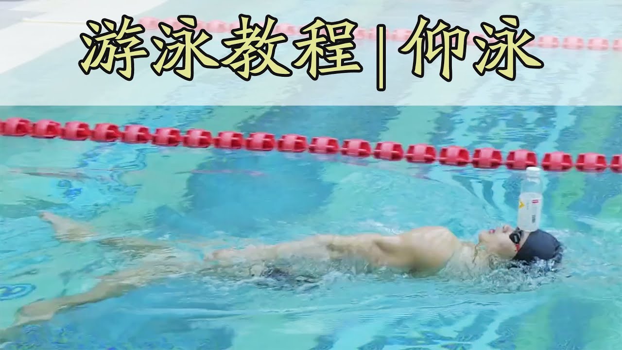 游泳健将仰泳教学#仰泳 #仰泳教学