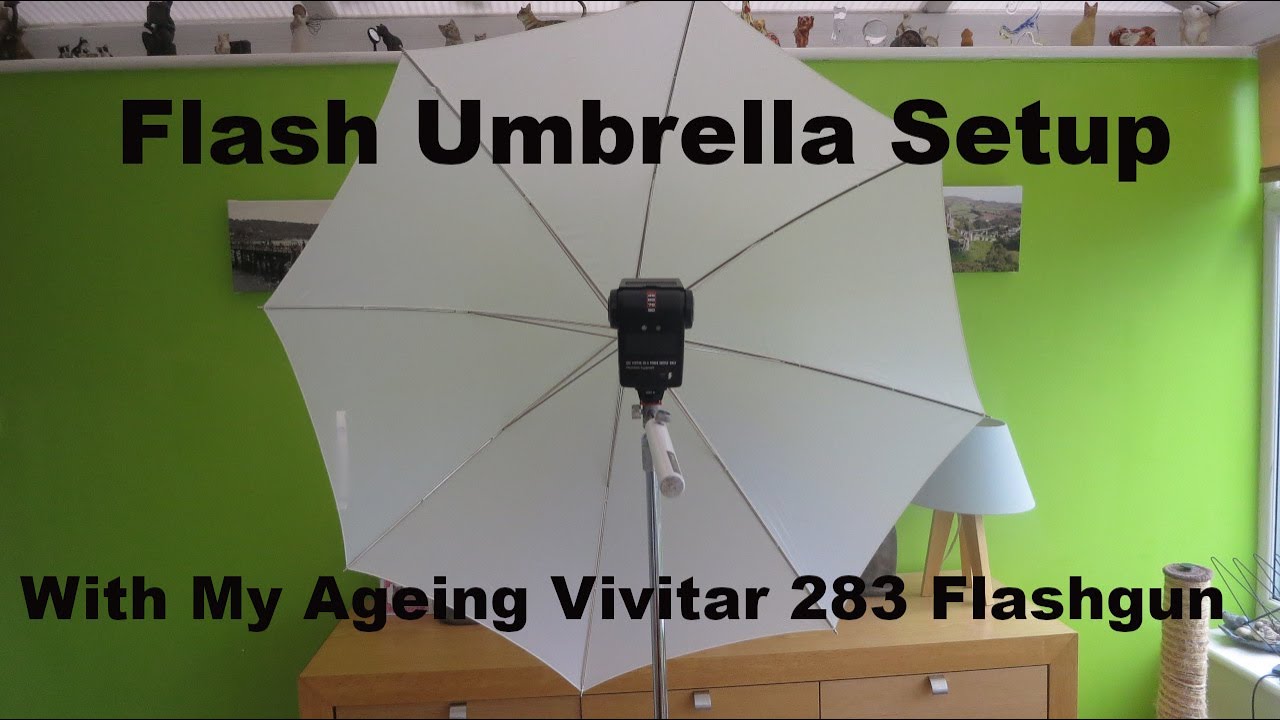 Flash umbrella Setup with my ageing vivitar 283