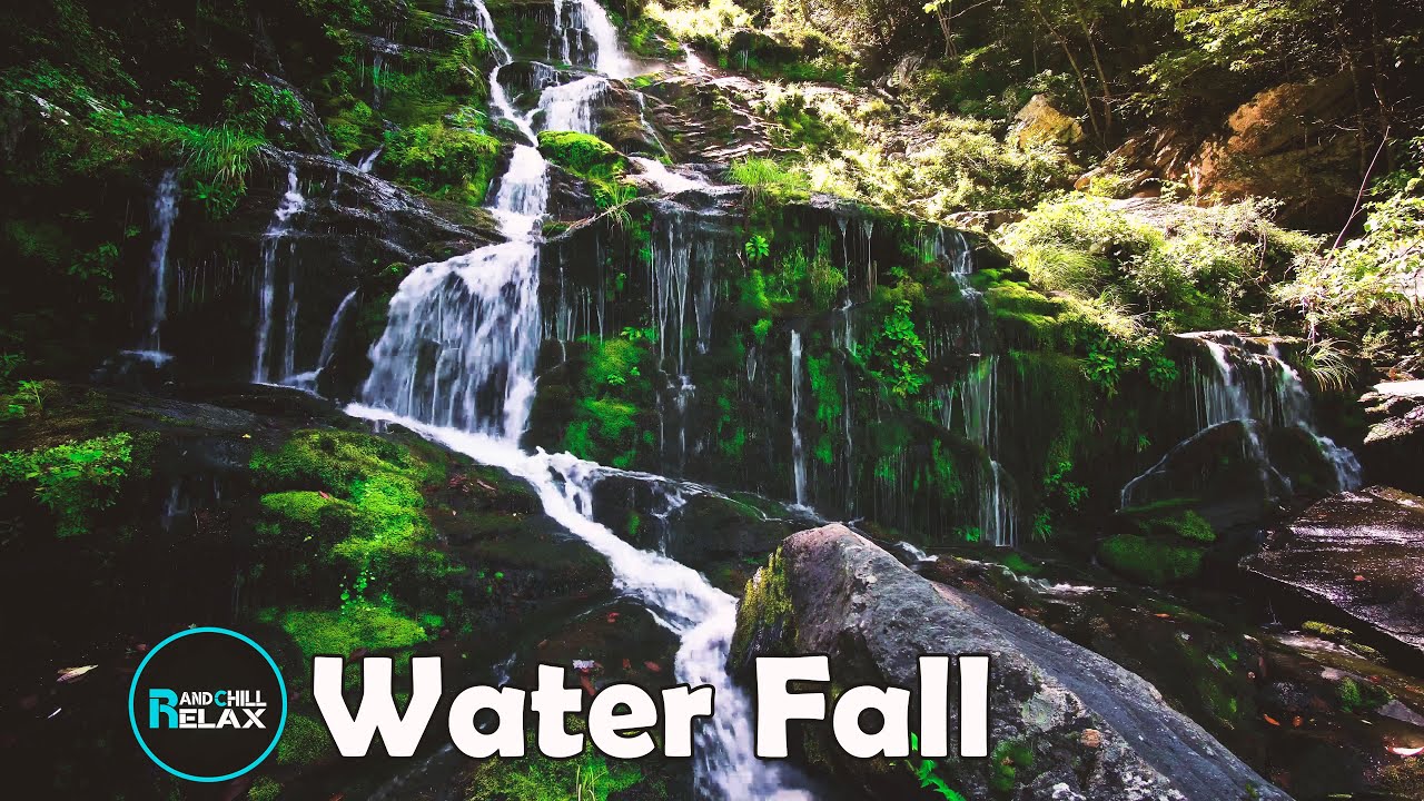 Relaxing Nature Scenes: Take a Virtual Walk Through a Forest Waterfall for Stress Relief