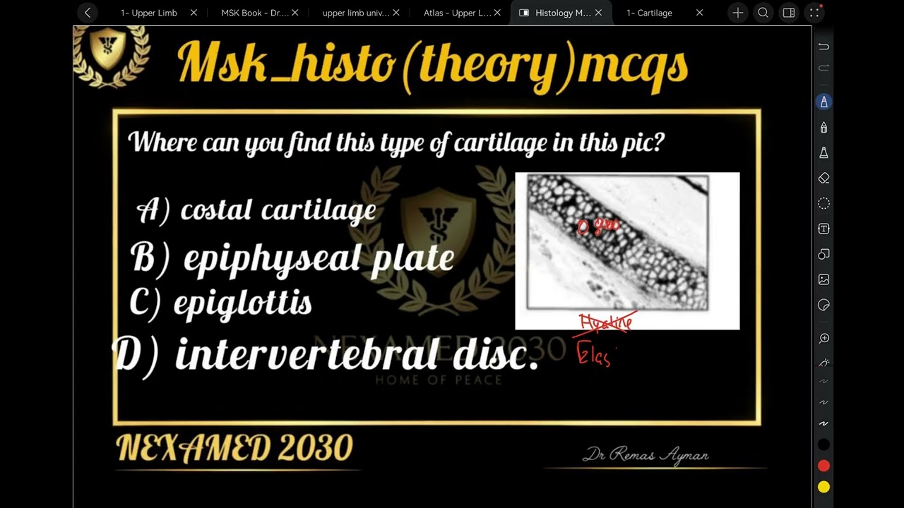 Cartilage | Histology MCQs | MSK | Ammar Kashlan