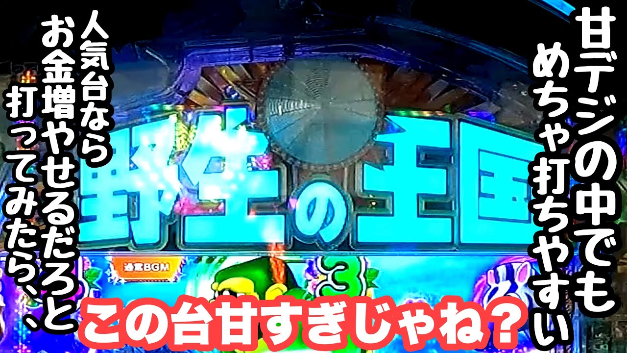 思ってる以上に連チャンしてくれる甘すぎる台で海物語打つ軍資金を増やそうと打ってみたら、、【PA野生の王国6】